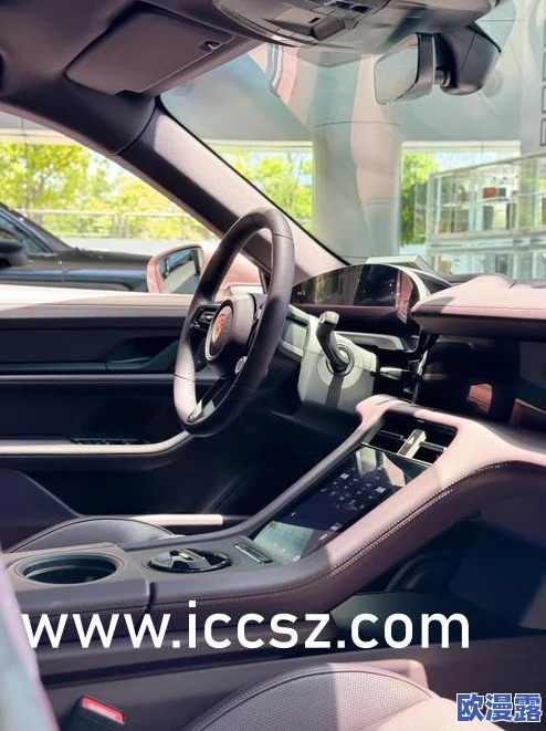 震惊！美女胸又大又www又黄的网站引发网友热议，背后隐藏的真相让人意想不到！