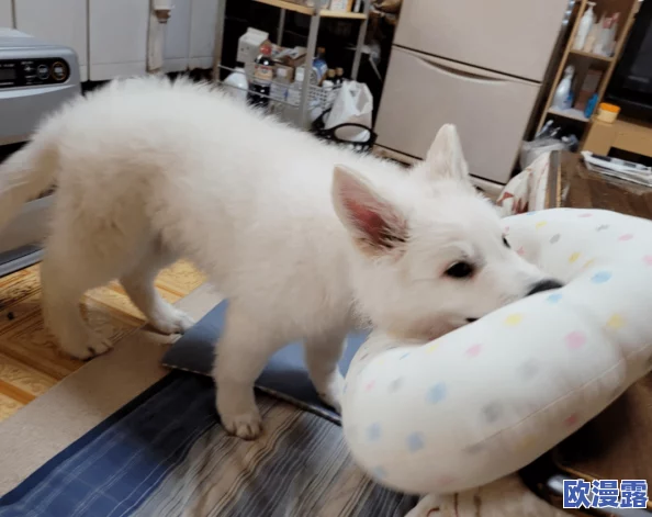 震惊！全黄hd播放片竟然引发了全国范围内的热议，网友们纷纷表示无法接受这一现象！