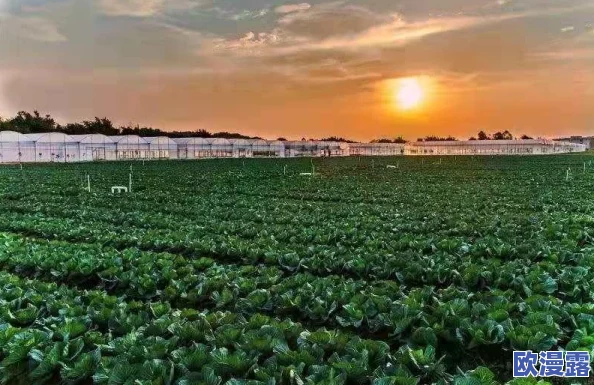 人与畜禽的合作关系：科学研究揭示人类与动物间惊人共生模式，改变未来生态合作的新方向！