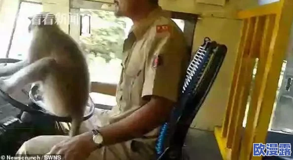 二人生猴子全程不盖被子照片，竟引发网友热议，背后隐藏着不为人知的故事！