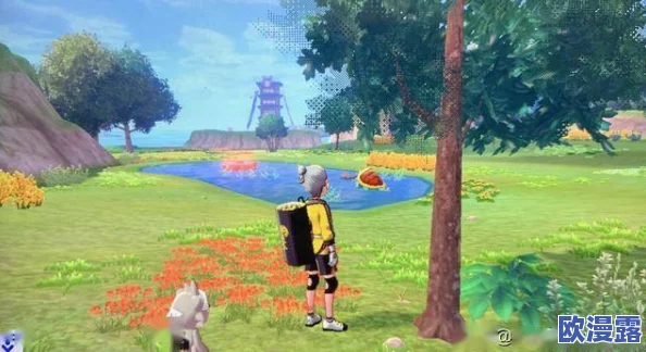 阿罗拉之战宝可度假地：全面解析特色玩法概况与独特体验一览