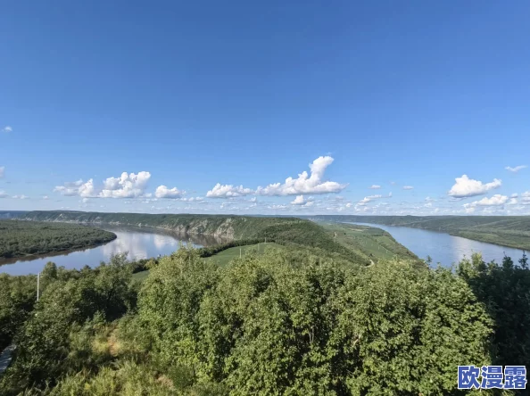 边境之旅新手必看：全面解析萌新上手玩法攻略与游戏技巧指南