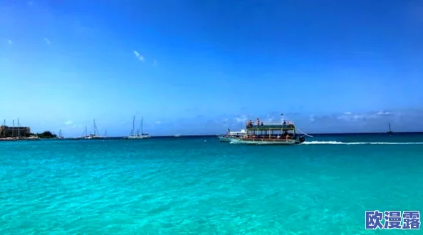 欧美岛国片：在美丽的海岛上，感受爱情与冒险交织的浪漫故事
