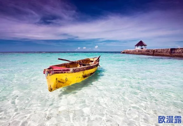 欧美岛国片：在美丽的海岛上，感受爱情与冒险交织的浪漫故事