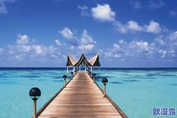 欧美岛国片：在美丽的海岛上，感受爱情与冒险交织的浪漫故事