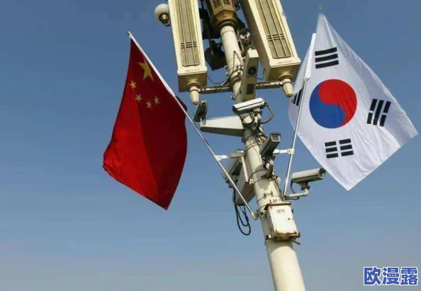 日韩欧美一二三区积极合作共赢推动经济发展携手应对全球挑战实现可持续未来 日韩欧美一二三区积极合作共赢推动经济发展携手应对全球挑战实现可持续未来