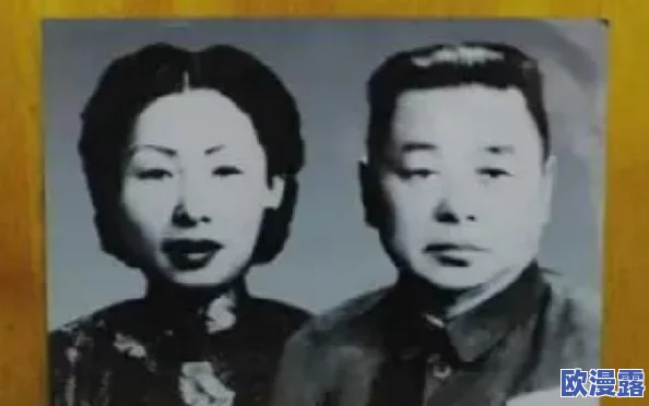 名将觉醒游戏革新：全新武将觉醒玩法深度介绍与解析