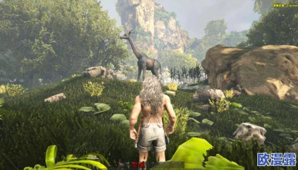 创造与魔法地图全攻略：深度解析各岛屿资源分布及优劣对比分析